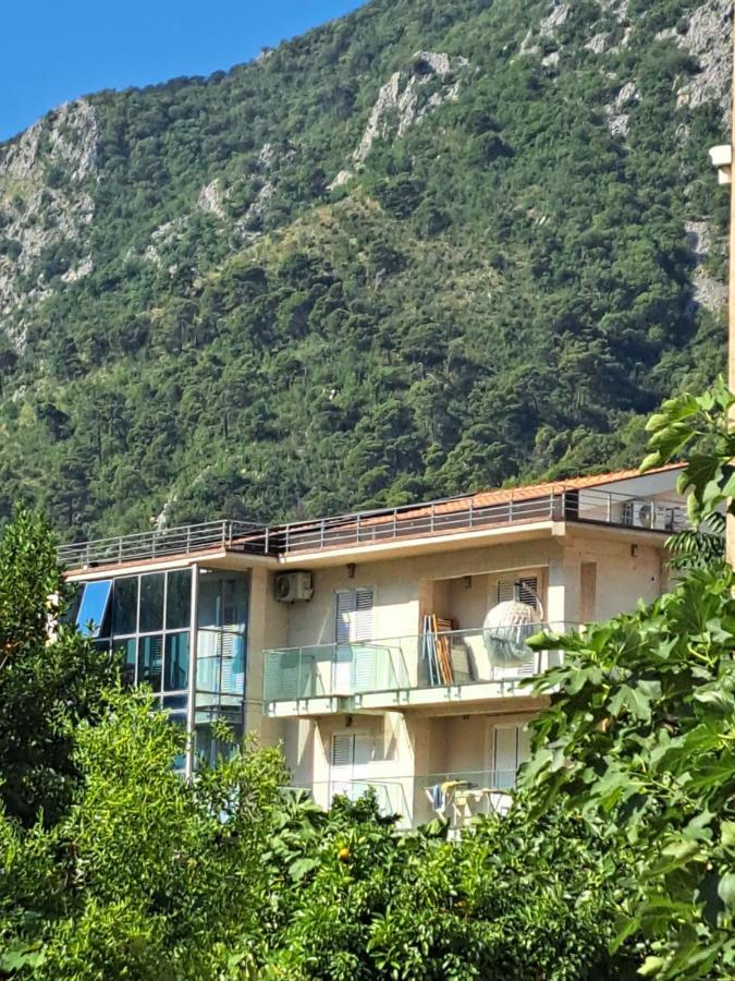 Apartments With Sea View In Prcanj Kotor Exteriér fotografie